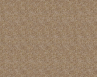 [1001111157_65] Flotex Colour у рулоні - s290013 Calgary caramel